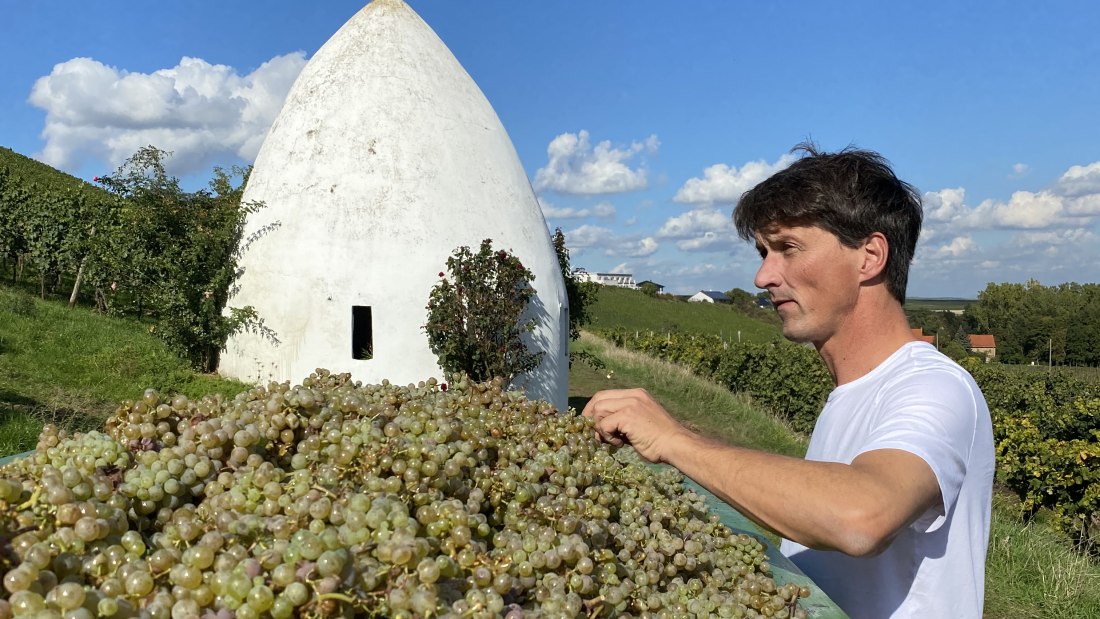 &copy; Weingut B&auml;der