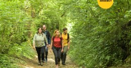 Wandern in Ingelheim &copy; Angelika Stehle/Stadt Ingelheim