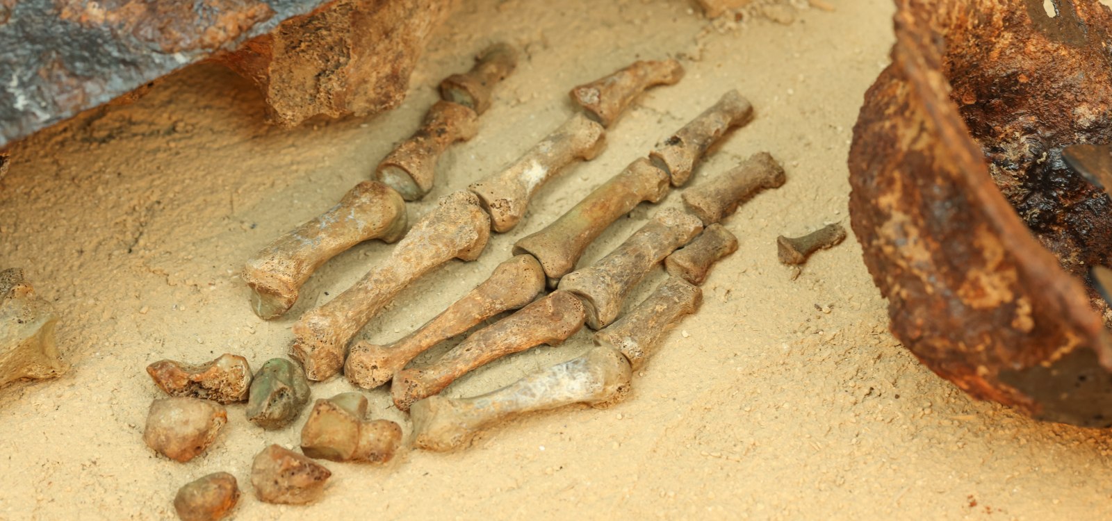 Handknochen des fränkischen Kriegers zwischen Spatha (Langschwert) und eisernem Schildbuckel des einstigen Holzschildes (nicht mehr erhalten)., © Alexander Sell/IkUM GmbH