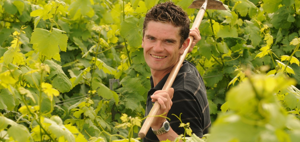 Michel__Gundheim, © Weingut Norbert Michel