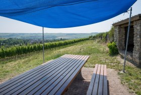 Tisch des Weins