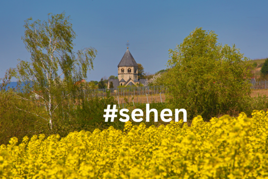 Selztaldom mit Rapsbl&uuml;ten, &copy; Rainer Oppenheimer/Stadt Ingelheim