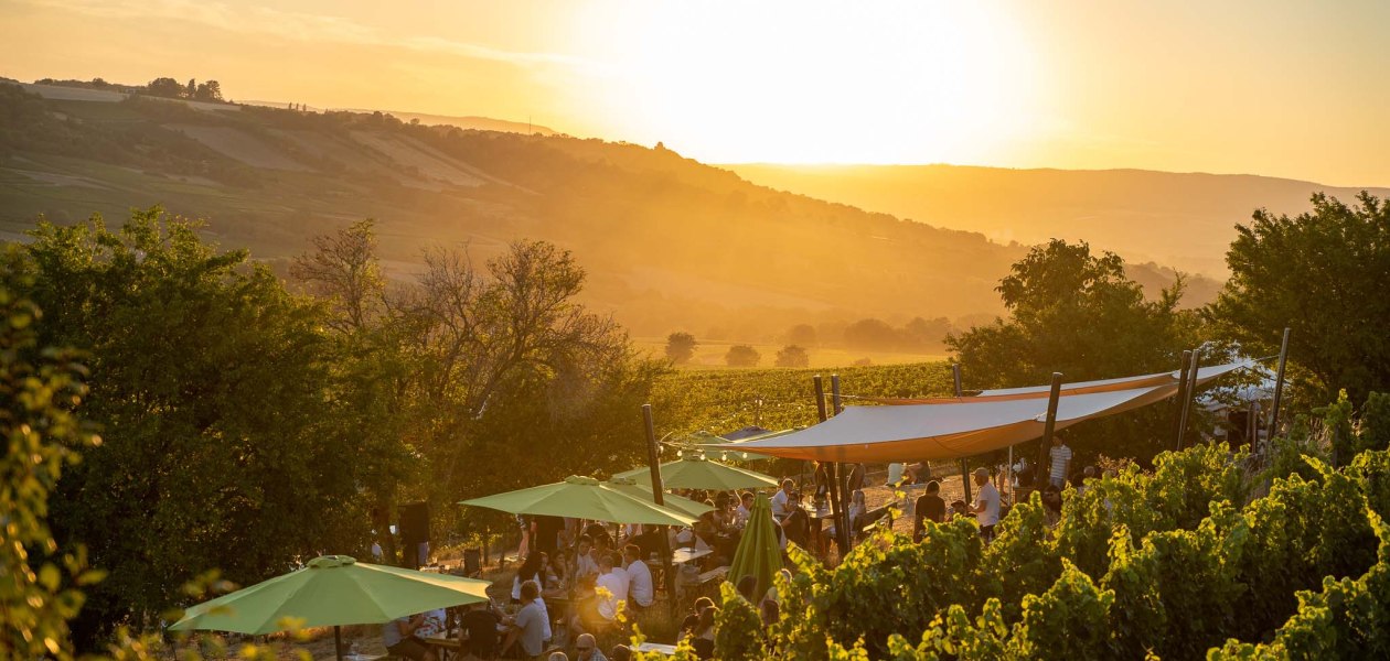 &copy; Max Singer-Fischer