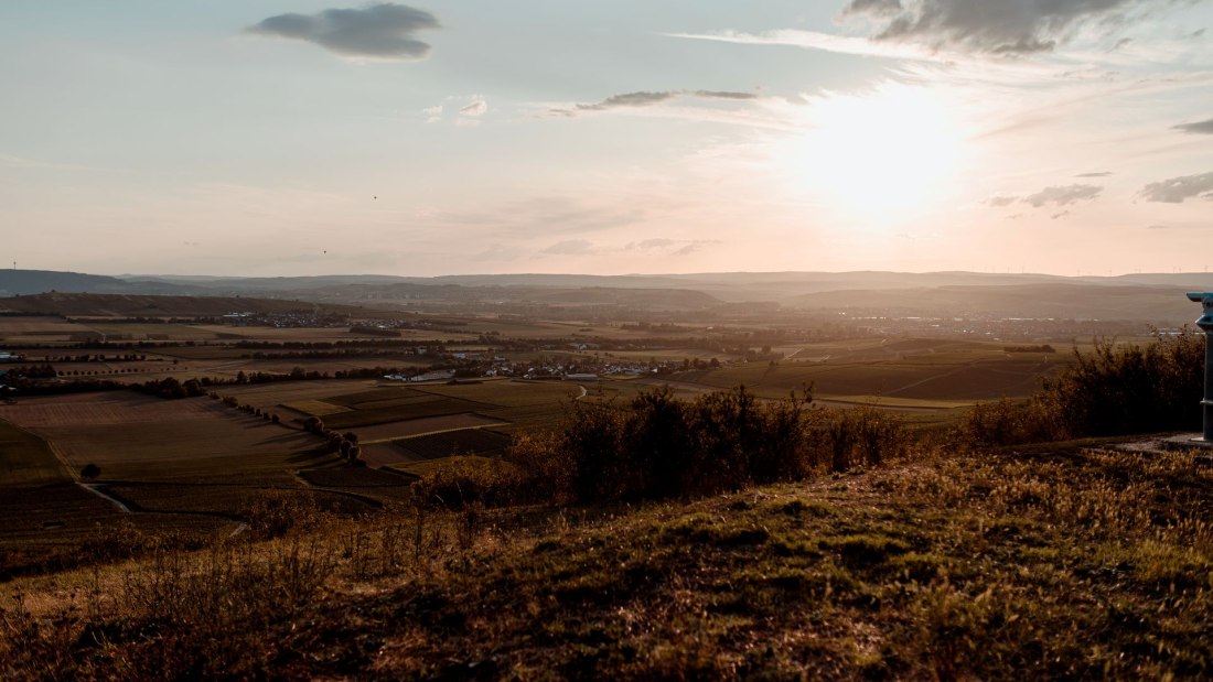 lou_5218_klein, &copy; Andreas Brummund - die WeinWerkstatt