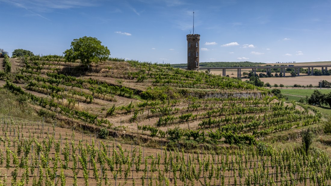 Weinheimer Heiliger Blutberg, © Torsten Silz