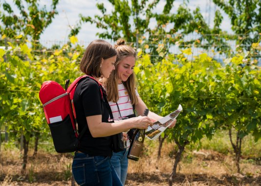 Picknick-Rucksack &copy; Weingut Dorst GbR