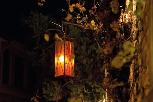 Lichtblicke, &copy; Lichtblicke im November