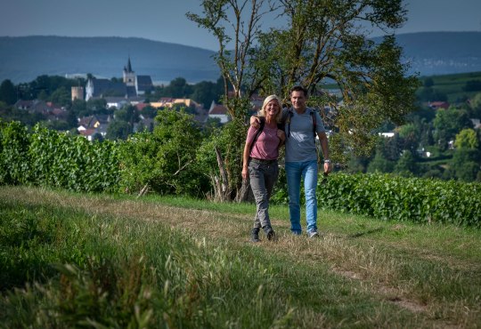 Hiking trail on the Mainz mountain, © Heike Rost