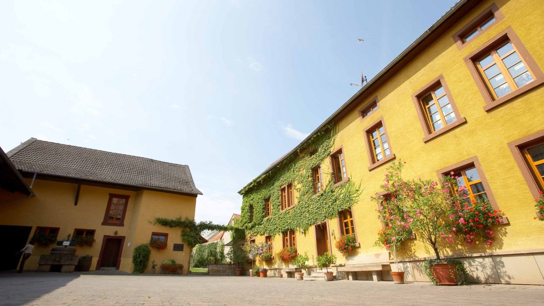 &copy; Weingut Julian Wolf