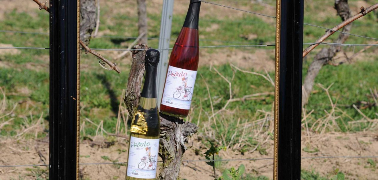 winery_heiko_strub_pedalo, © Weingut Heiko Strub