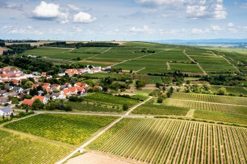 Hangen-Weisheimer Sommerwende