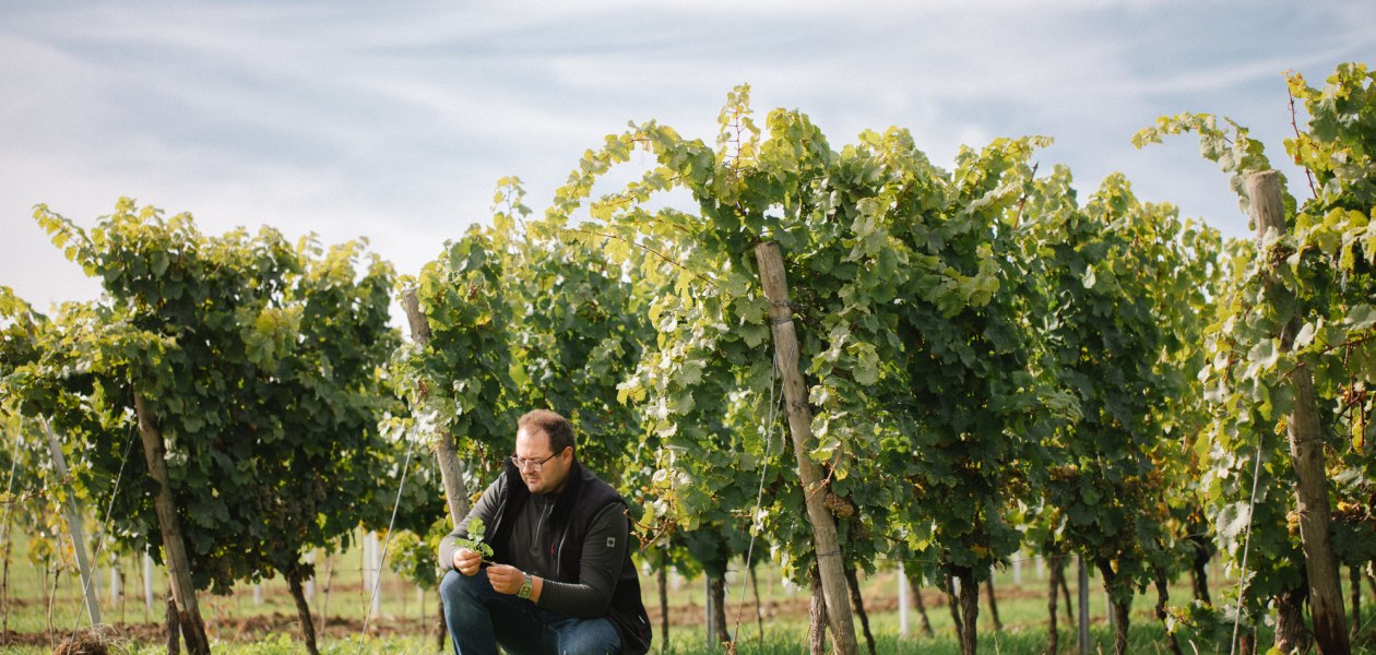 &copy; Weingut M&uuml;ller-Oswald