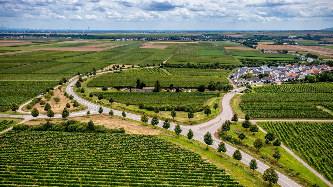 Hohen-Sülzener Kirchenstück