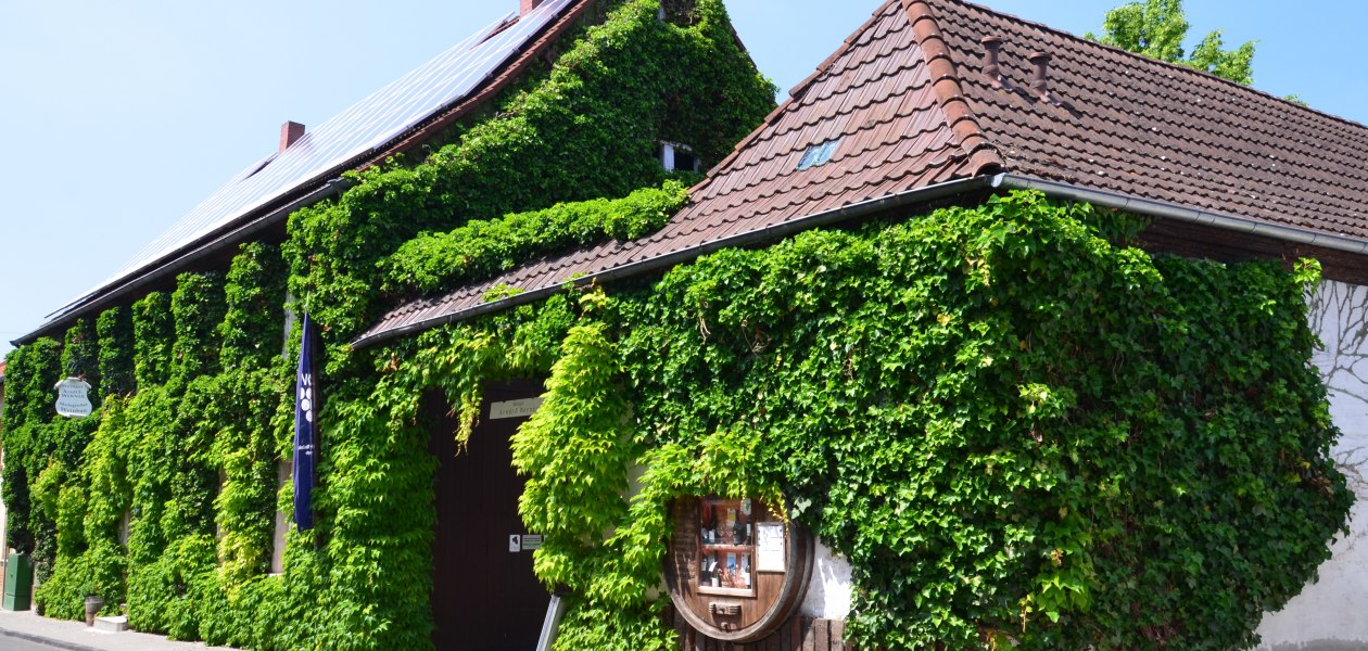 &copy; &Ouml;koweingut Arndt F. Werner