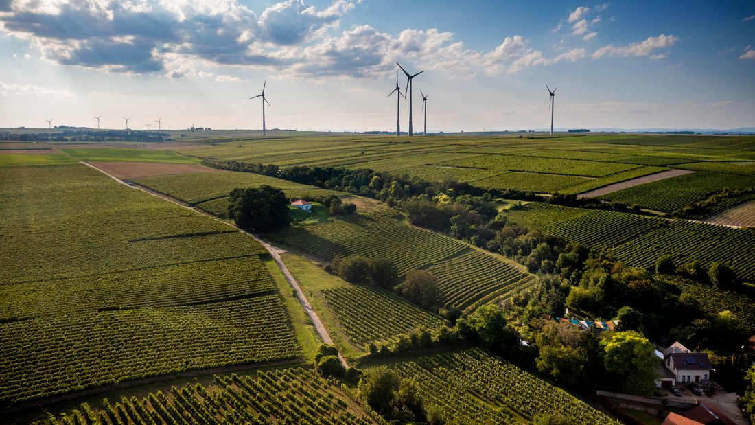 Alsheimer Fischerpfad