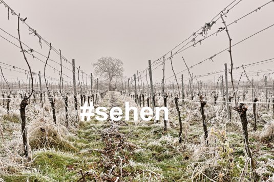 Winterzeit #sehen, &copy; Rainer Oppenheimer/Stadt Ingelheim