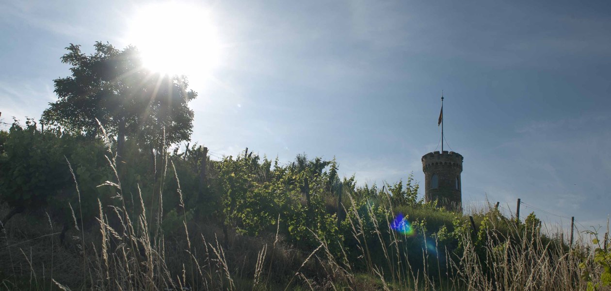 Weingut Heiligenblut_Turm 2, &copy; Weingut Heiligenblut