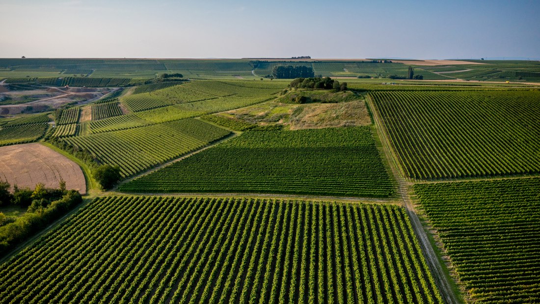Sulzheimer Schildberg