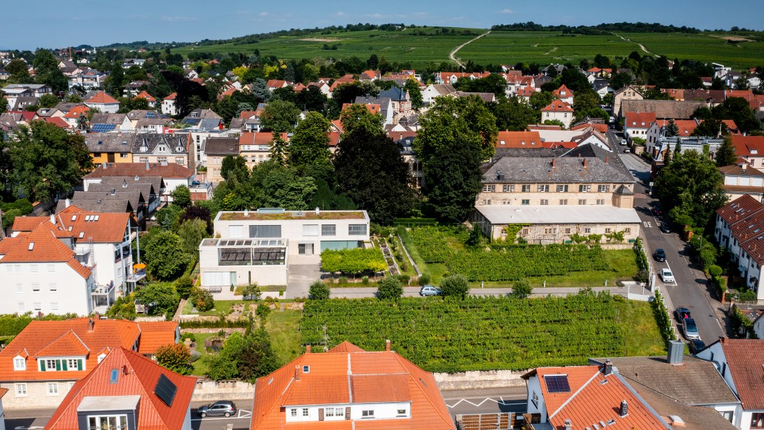 Ingelheimer Sonnenberg-DJI_0032.DNG, &copy; Torsten Silz