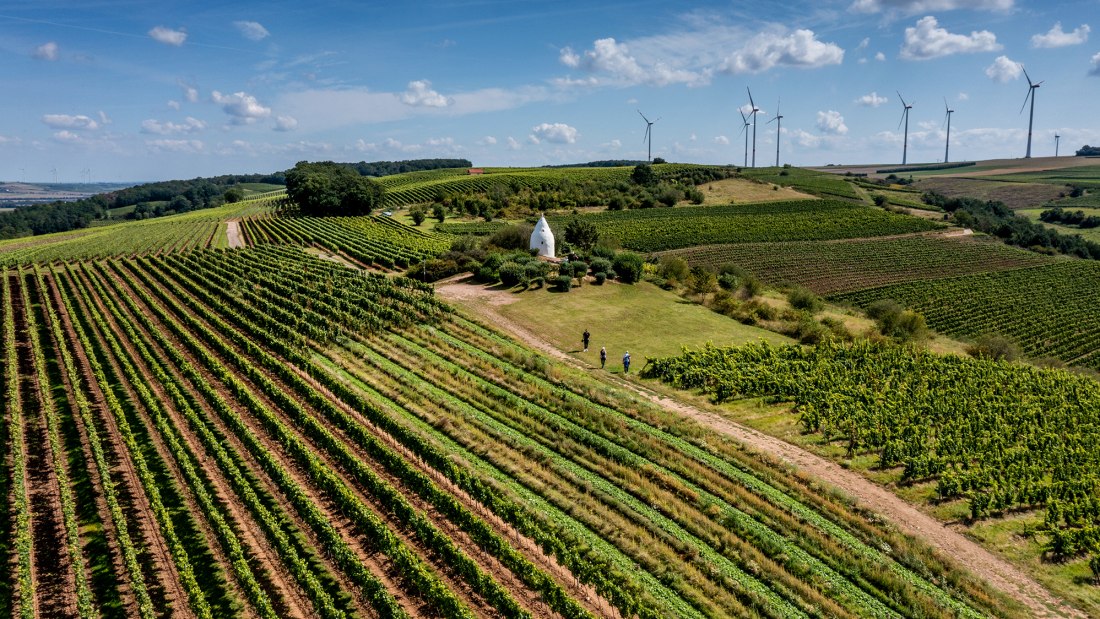 Flonheimer Rotenpfad, © Rheinhessenwein e.V./Torsten Silz
