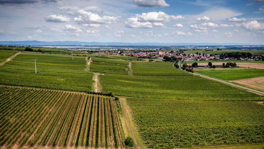 Bechtheimer Hasensprung