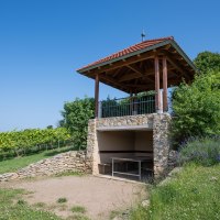 Plattform © Verbandsgemeinde Gau-Algesheim