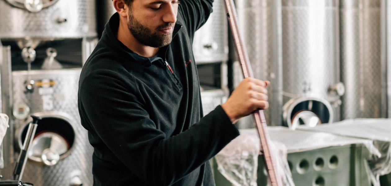 &copy; &Ouml;koweingut Arndt F. Werner
