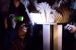 _MG_8653-2 TLF Kapitell