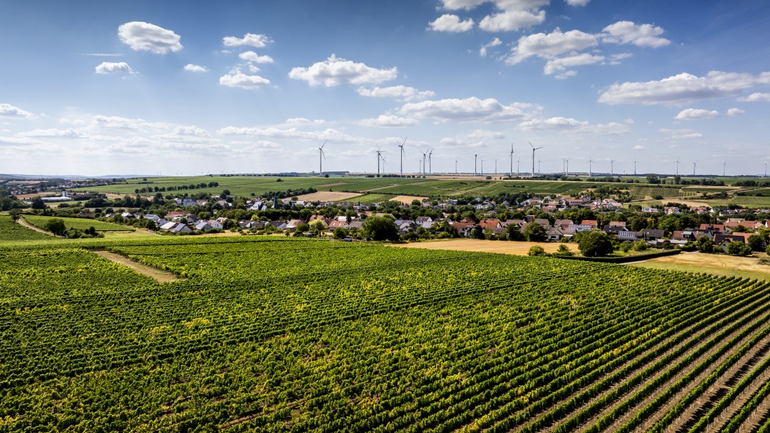 Bechtolsheimer Klosterberg, © Torsten Silz