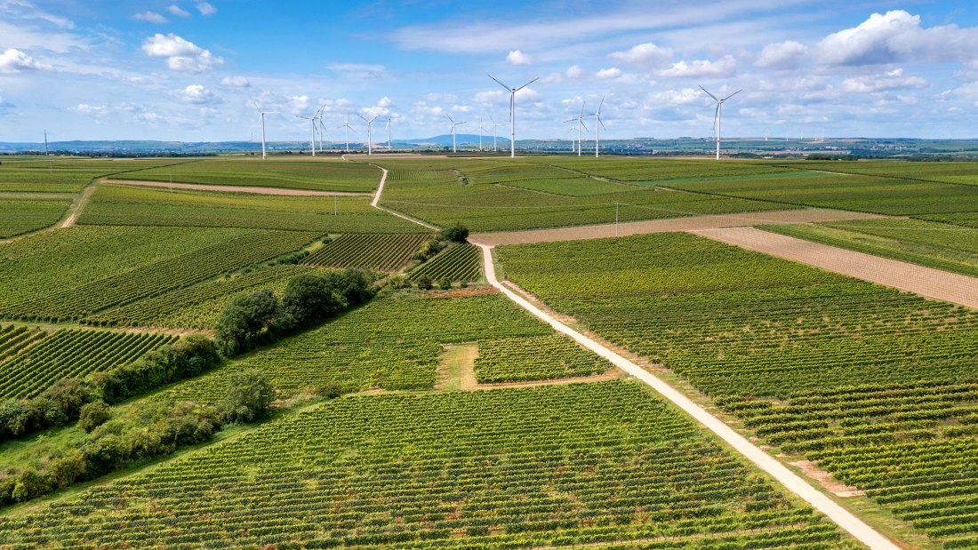 Herrnsheimer Schloß