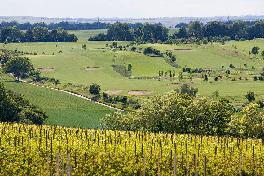 golfbaan domtal, &copy; Weingut Becker