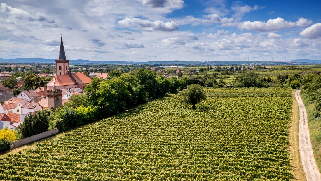 Pfeddersheimer Sankt Georgenberg