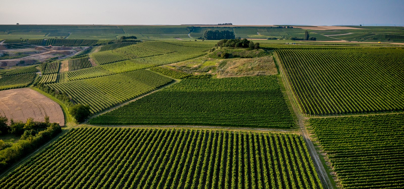 Sulzheimer Schildberg