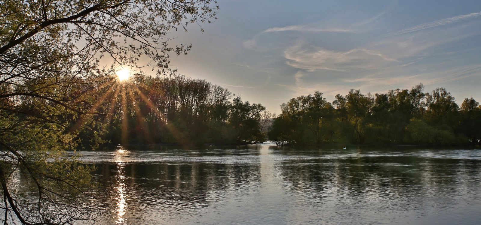 Inselrhein