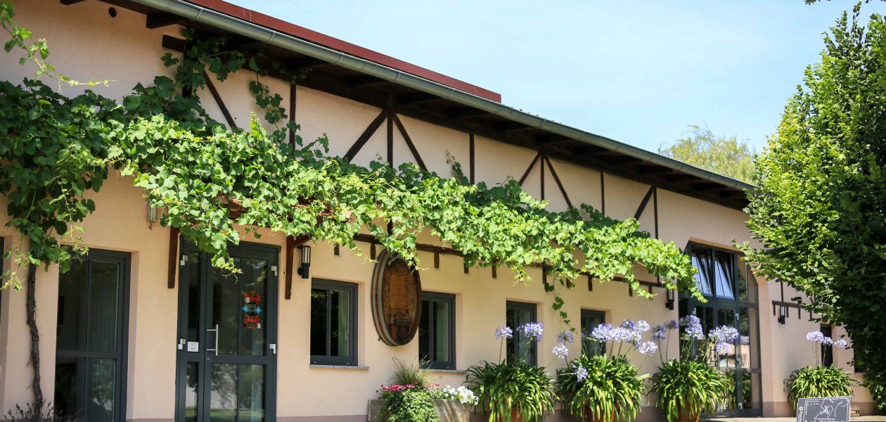 Michel-5, &copy; Weingut Dieter Michel