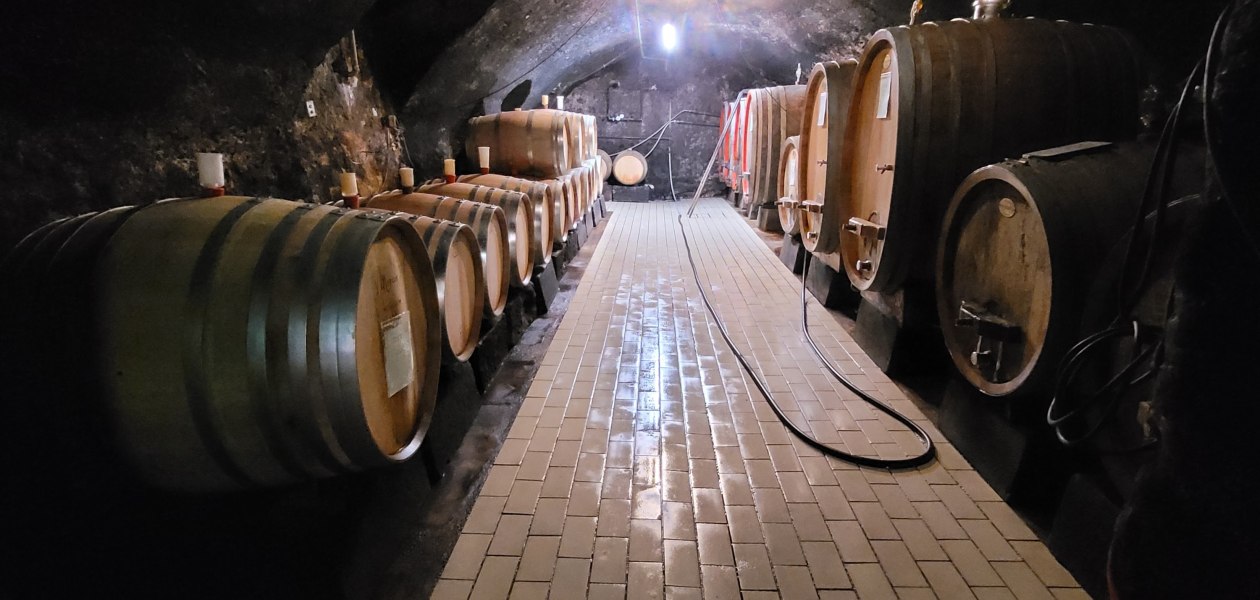 &copy; Weingut B&uuml;rgermeister Carl Koch