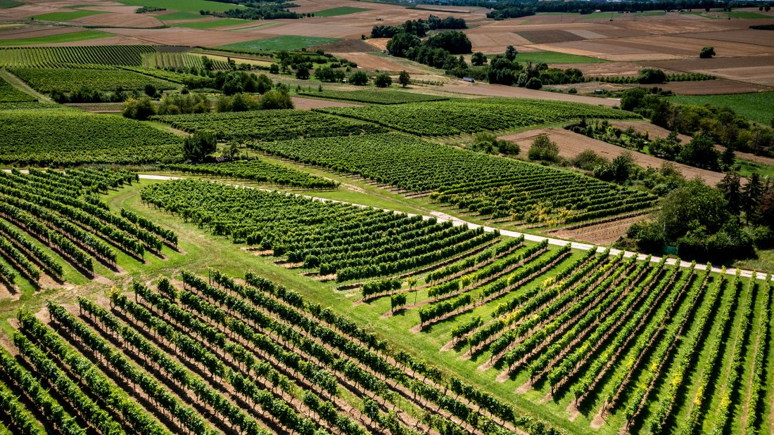 Klein-Winternheimer Geiershölle