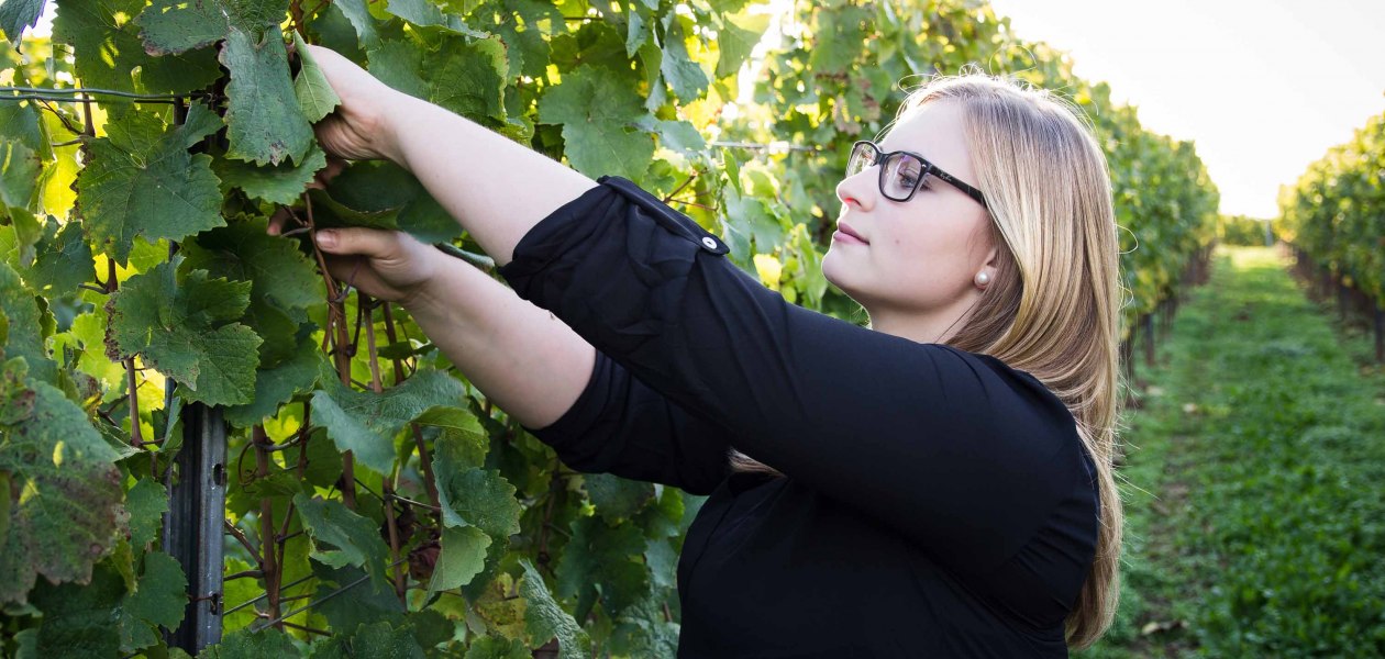 Weingut Sternenfelserhof_Jana Kopp, &copy; Weingut Sternenfelserhof