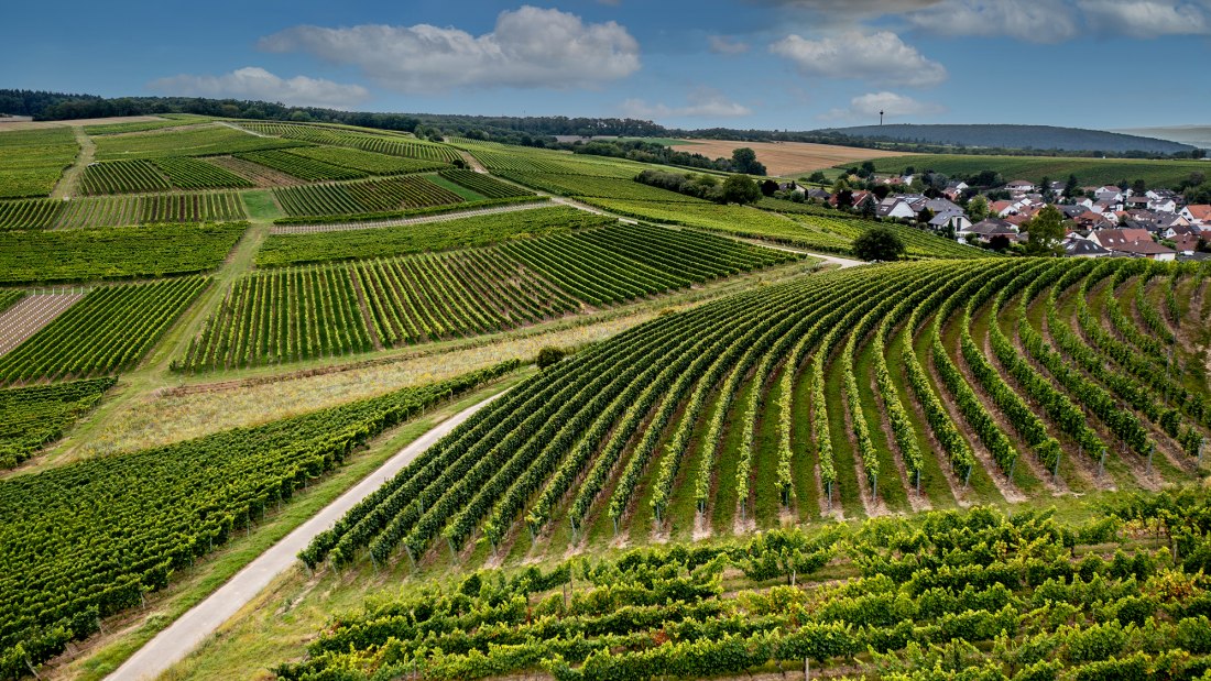 Frei-Laubersheimer Fels