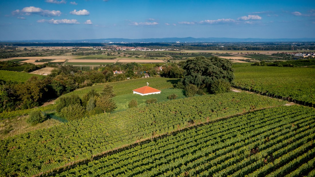 Alsheimer Fischerpfad