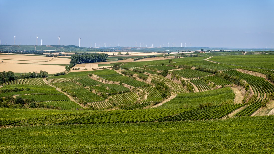 Alsheimer R&ouml;merberg, &copy; Torsten Silz