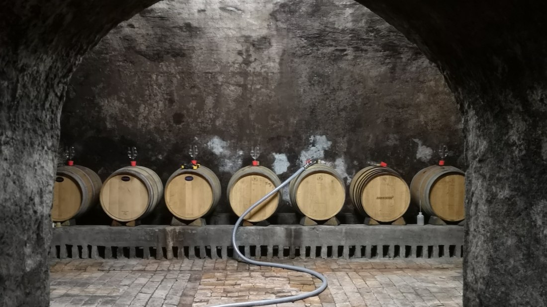 &copy; Weingut Dr. Alex Senfter