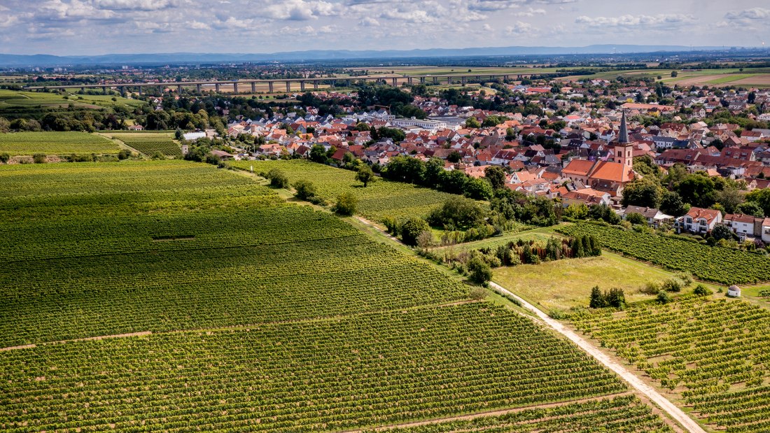 Pfeddersheimer Sankt Georgenberg