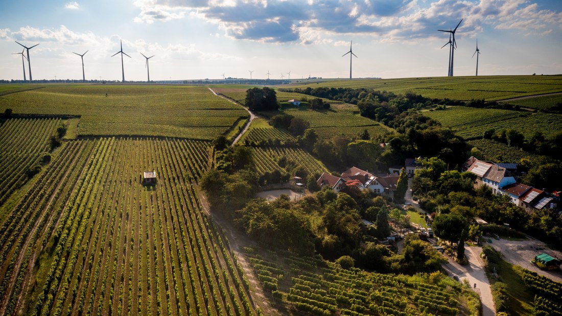 Alsheimer Fischerpfad