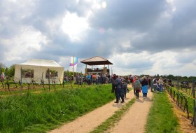 Gau-Algesheimer Weinlagenwanderung &copy; VG Gau-Algesheim_Armin Kleisinger