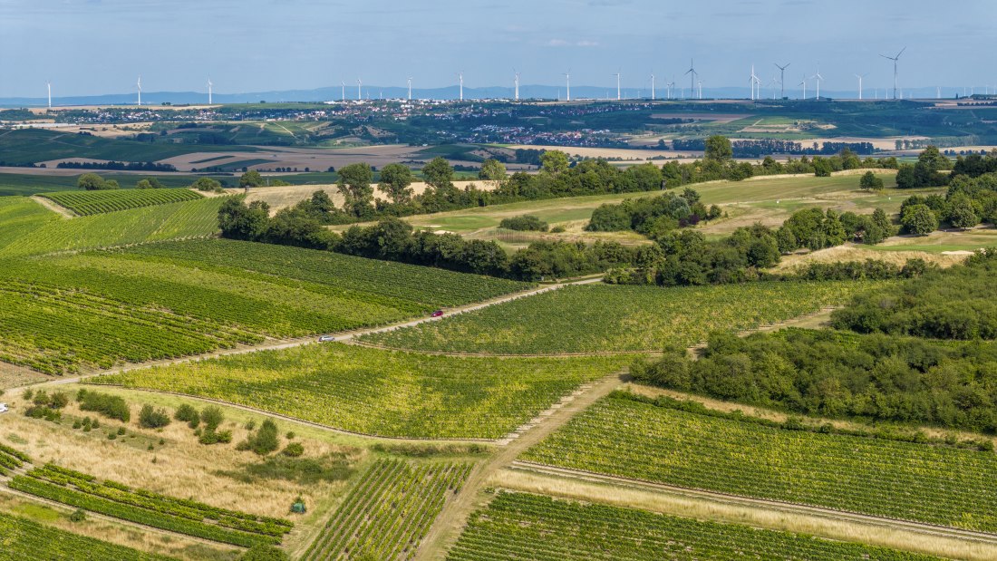 Sankt Johanner Klostergarten, &copy; Torsten Silz