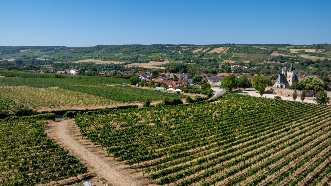 Ingelheimer Burgberg-085 Kopie, &copy; Torsten Silz