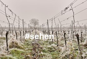 Winterzeit #sehen © Rainer Oppenheimer/Stadt Ingelheim