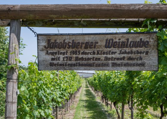Weinlaube Schild © Verbandsgemeinde Gau-Algesheim, Andreas Pacek