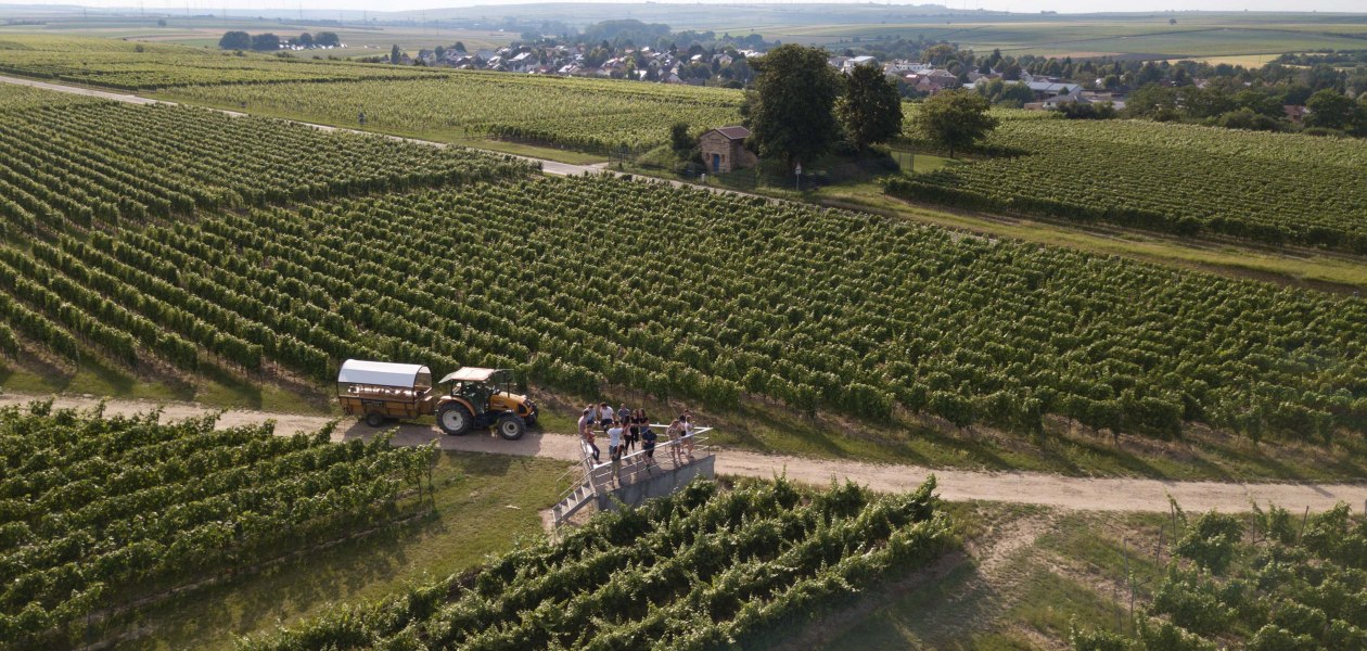 &copy; Weingut Grittmann